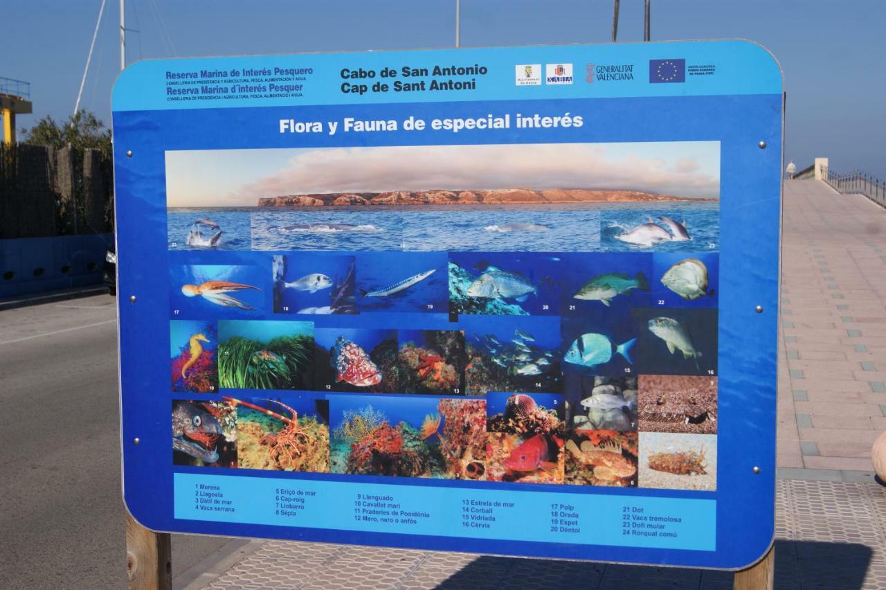 Apartamento Las Marinas II En דניה מראה חיצוני תמונה